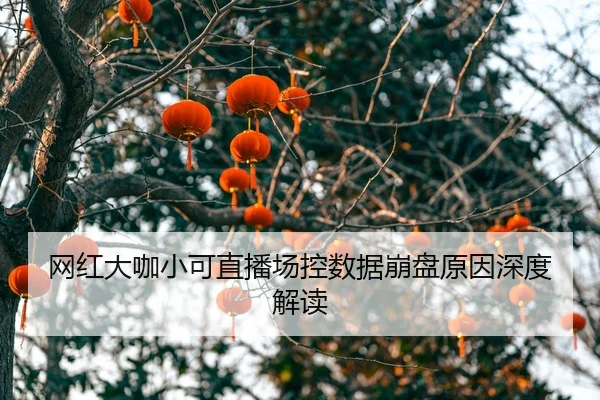 wang-hong-da-ka-xiao-ke-zhi-bo-chang-kong-shu-ju-beng-pan-yuan-yin-shen-du-jie-du-2-121.jpg
